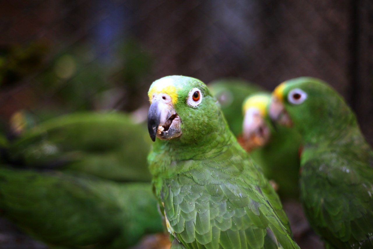 WhatsApp Image 2022 12 13 at 9.32.50 PM