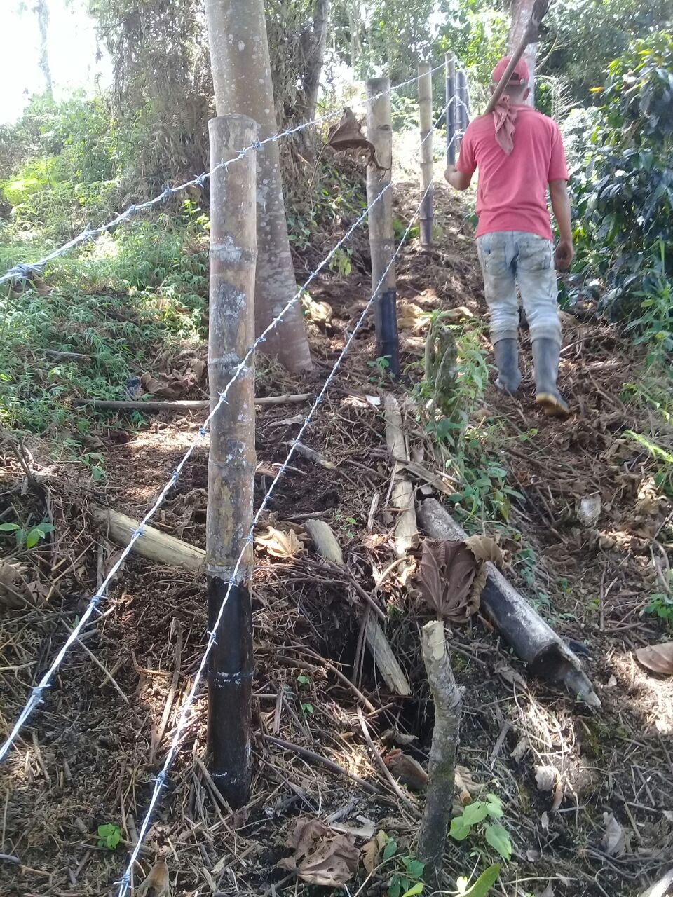 WhatsApp Image 2023 01 10 at 8.46.42 AM