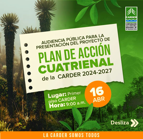 plan de acción cuatrienal carder