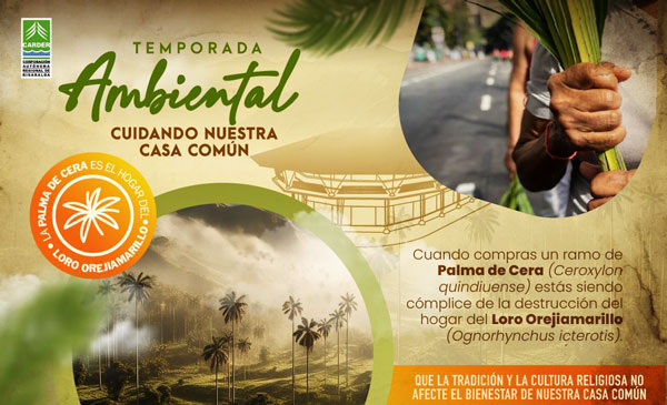 temporada ambiental carder