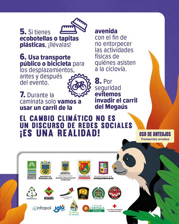 caminata por el medio ambiente c3
